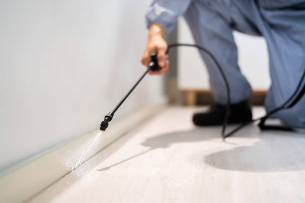 Licensed Cockroach Control service in Rockingham County County, VA - Nex Pest Control